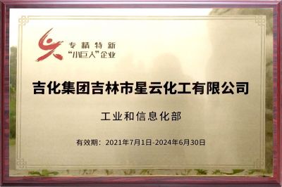 國家級(jí)“專精特新”小巨人企業(yè)